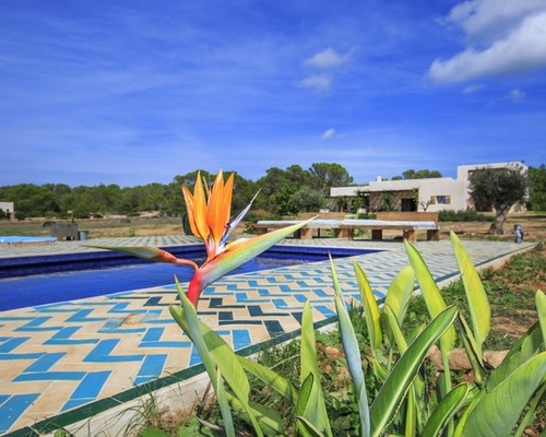 zellige cote piscine